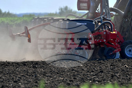 Село Яким Груево - работа на полето