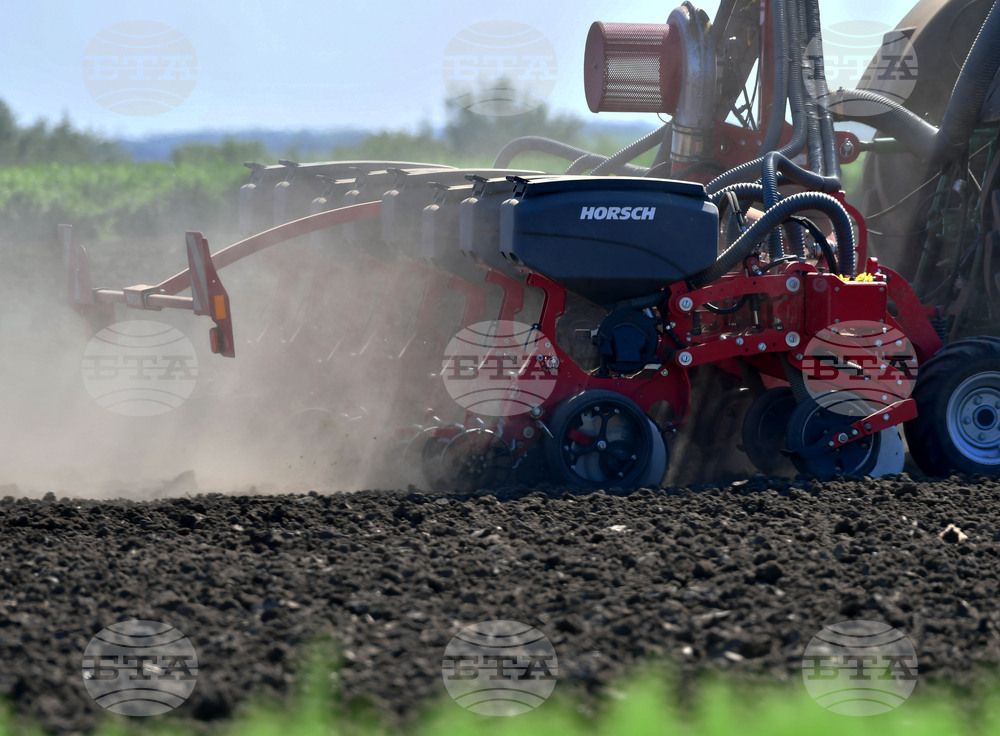 Село Яким Груево - работа на полето