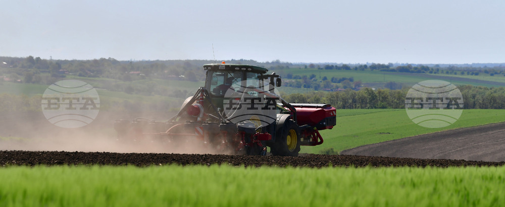 Село Яким Груево - работа на полето