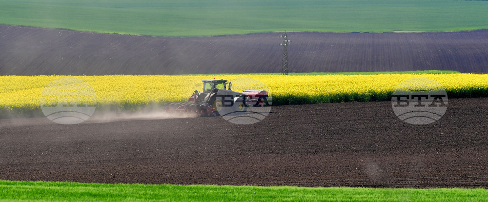 Село Яким Груево - работа на полето