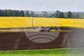 Село Яким Груево - работа на полето