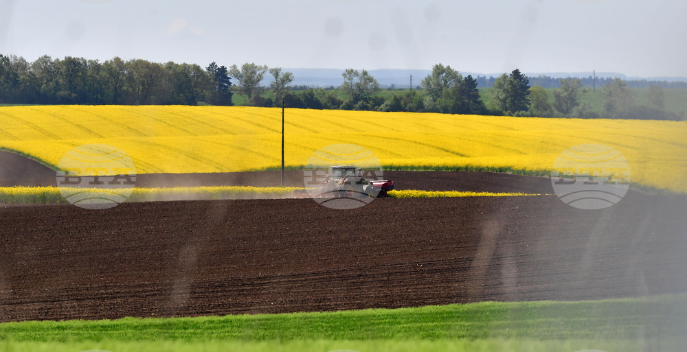 Село Яким Груево - работа на полето