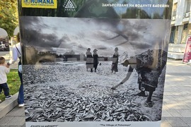 Плевен - изложба - „Поправи Земята“