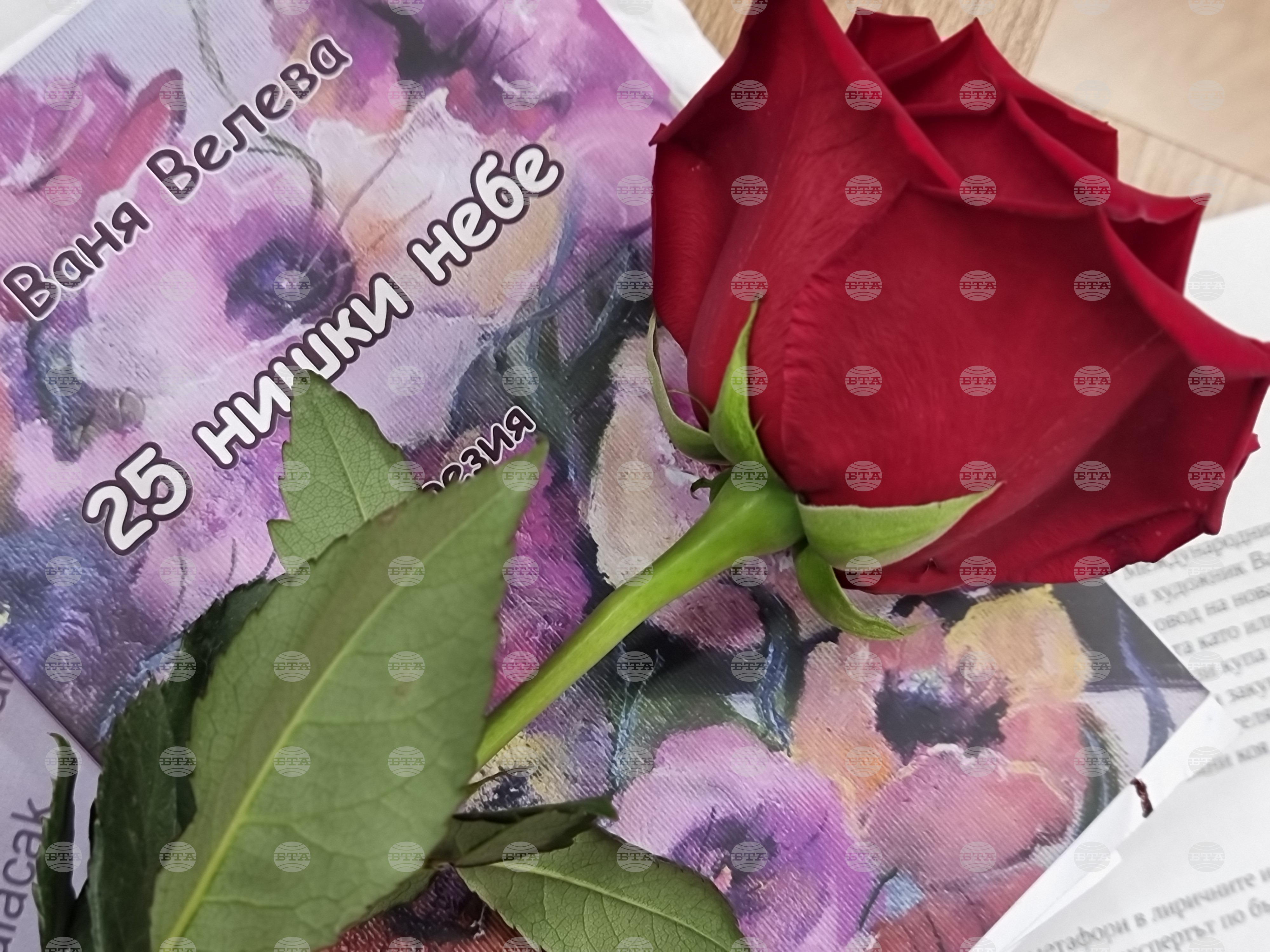 С премиера на новата си стихосбирка „25 нишки небе“ в Ямбол писателката Ваня Велева отбеляза 25 години творчески път