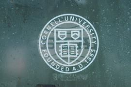 Cornell Investigation
