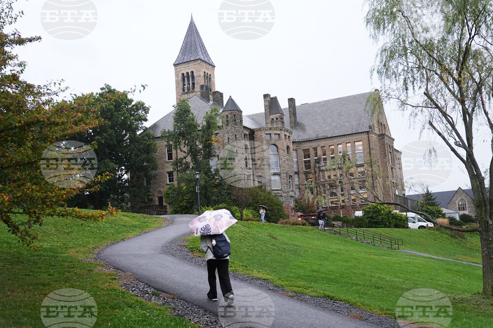 Cornell Investigation