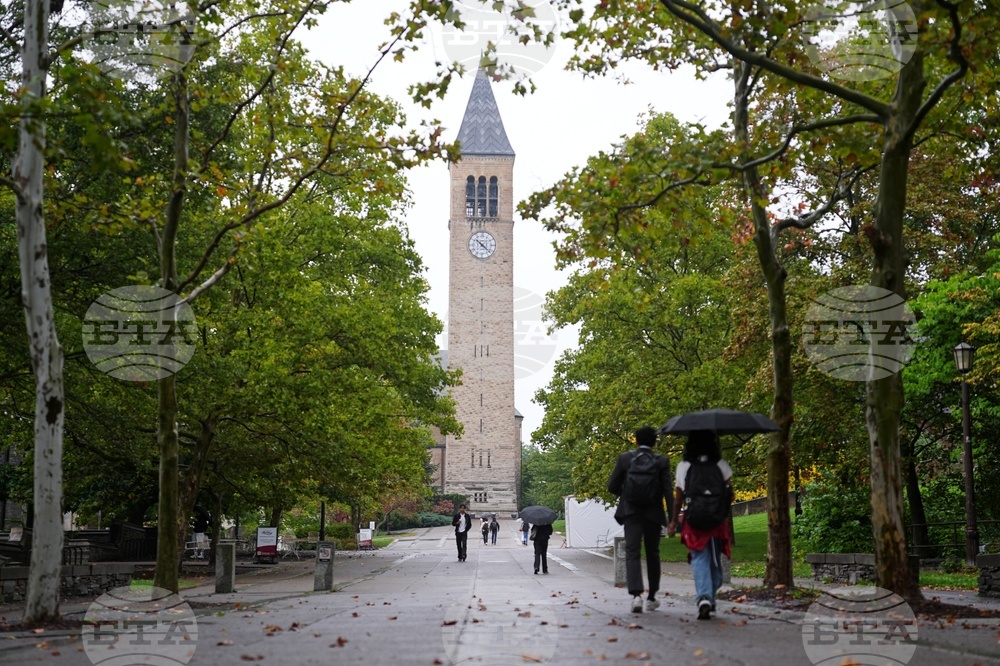 Cornell Investigation