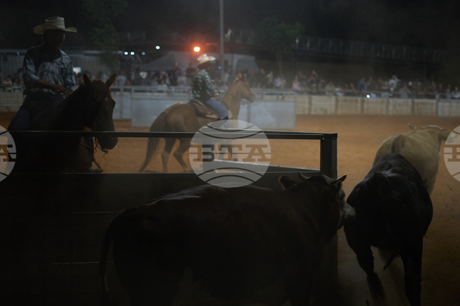 Israel Rodeo Show