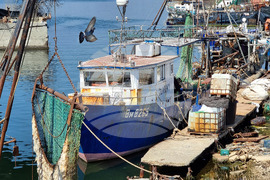 Варна - рибари - мини - предупреждение