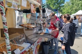 Румъния - Фестивал на баницата