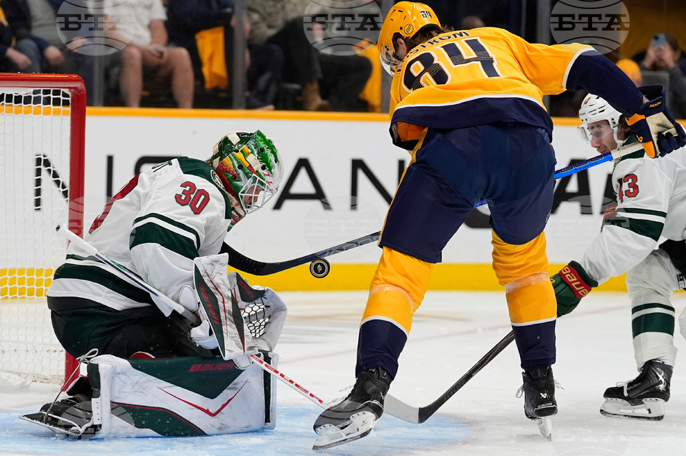 Wild Predators Hockey