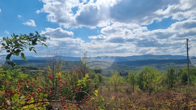 Прогноза за времето