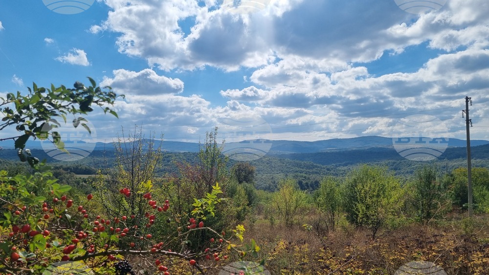 Прогноза за времето