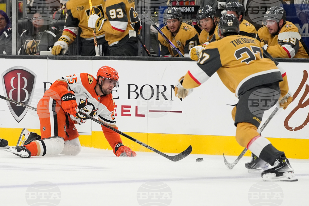 Ducks Golden Knights Hockey