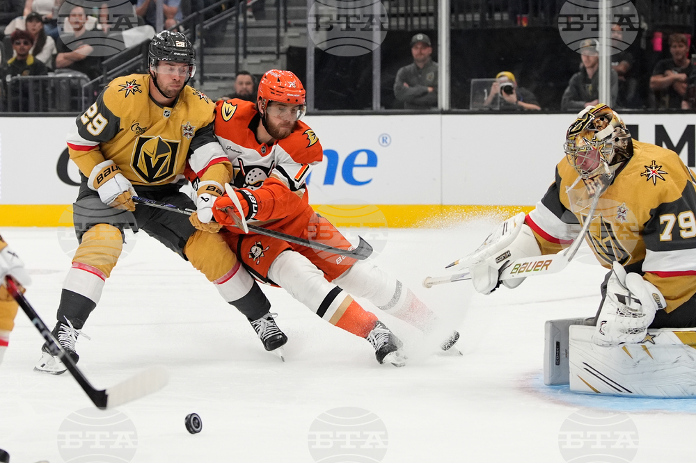 Ducks Golden Knights Hockey