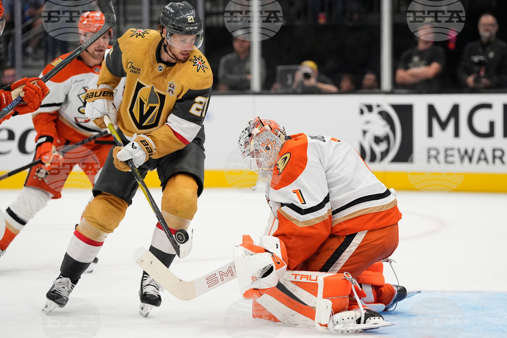 Ducks Golden Knights Hockey