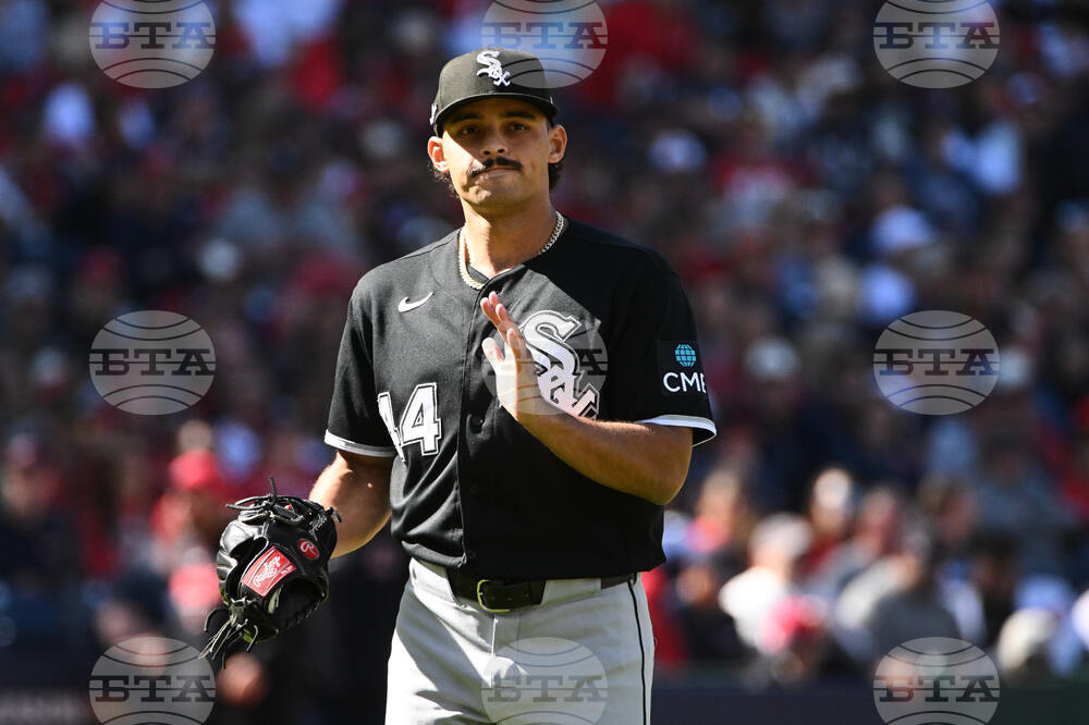 White Sox Guardians Baseball