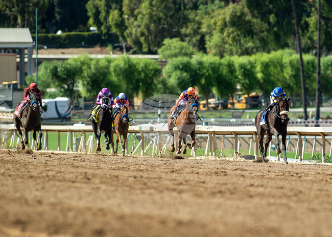 Santa Anita Horse Racing