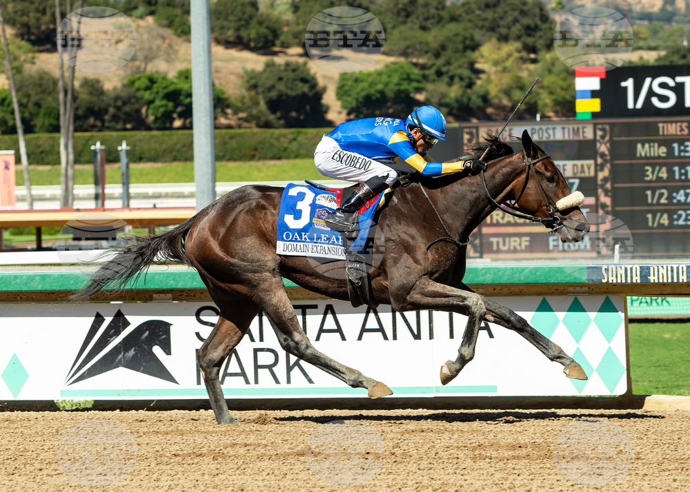 Santa Anita Horse Racing