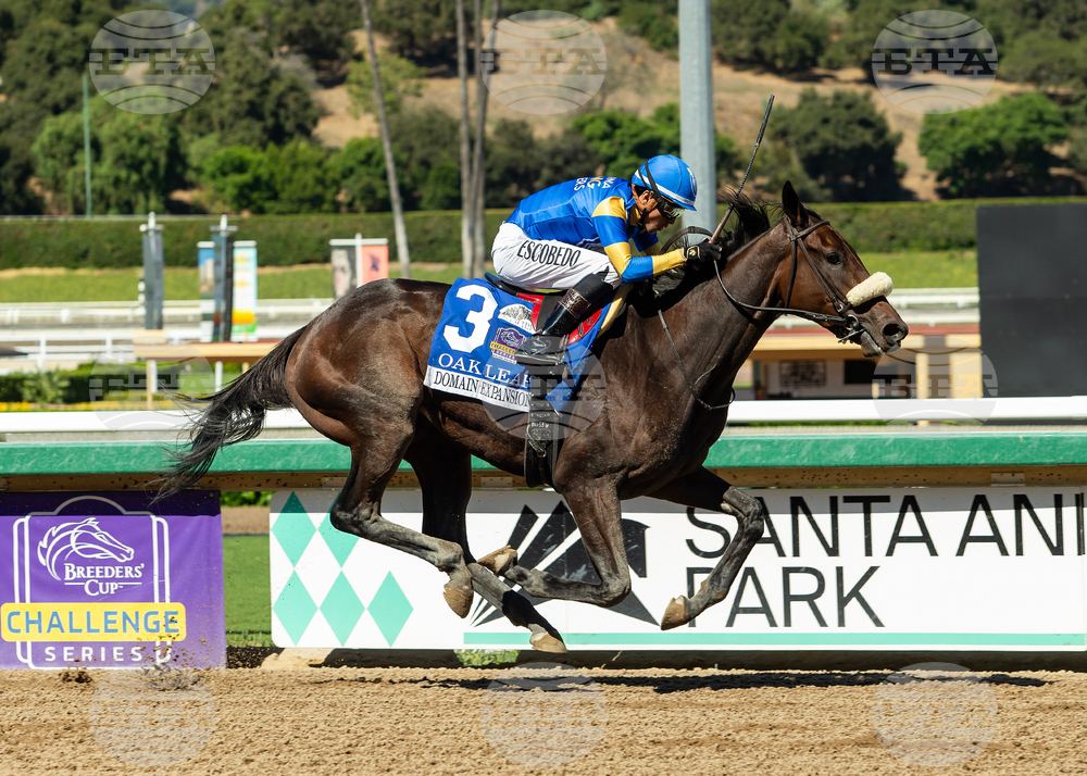 Santa Anita Horse Racing