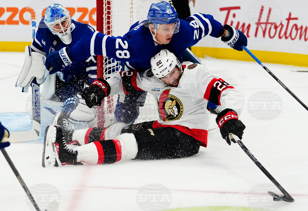 Senators Maple Leafs Hockey
