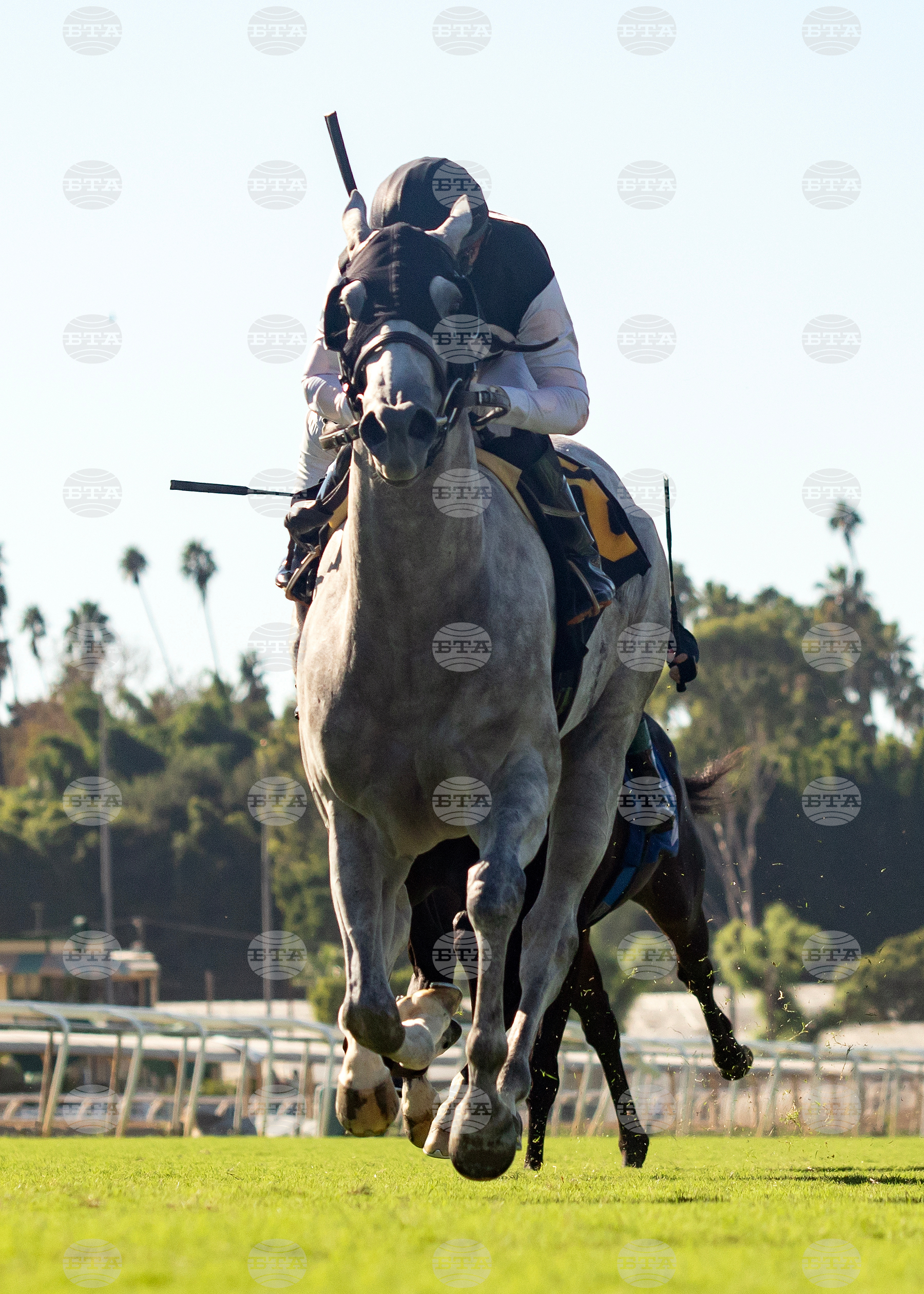 Santa Anita Horse Racing