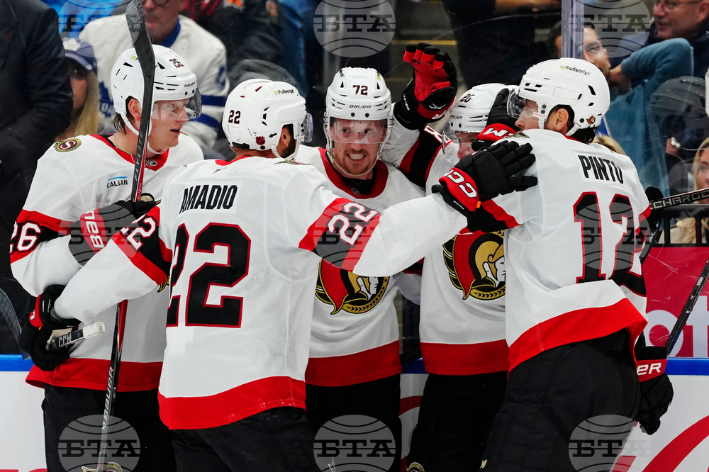 Senators Maple Leafs Hockey