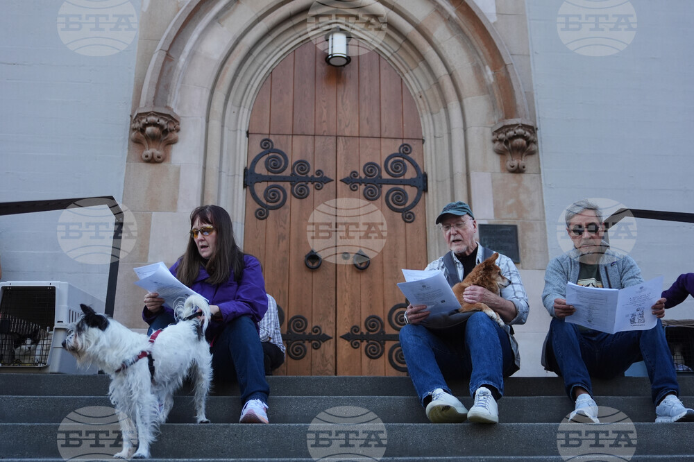 Seattle Animal Blessing