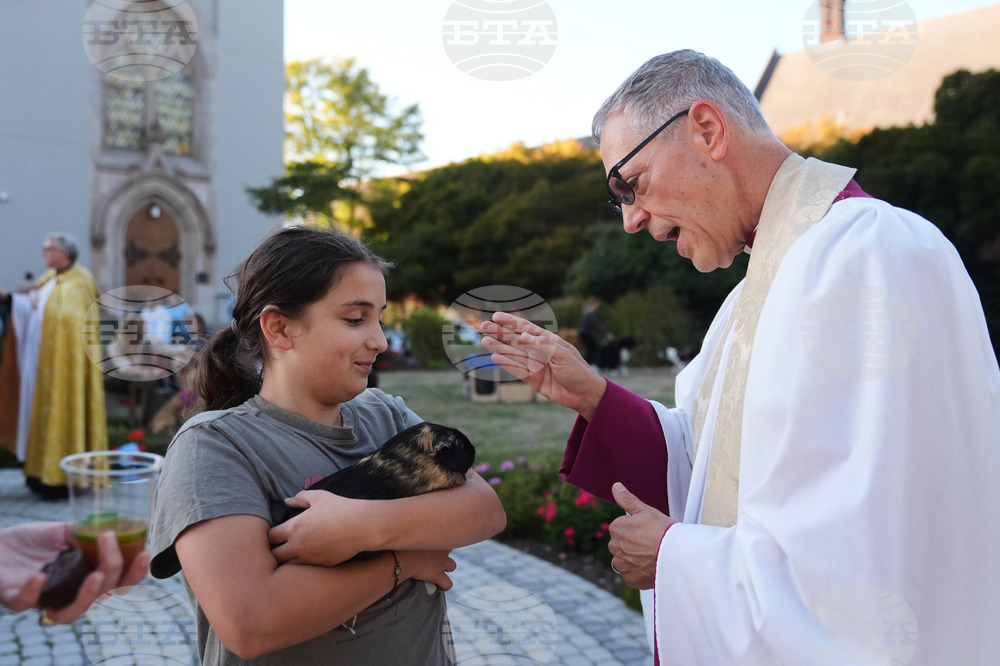 Seattle Animal Blessing