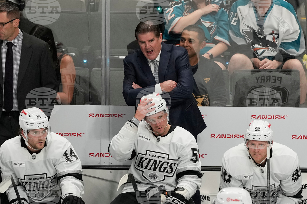 Kings Sharks Hockey