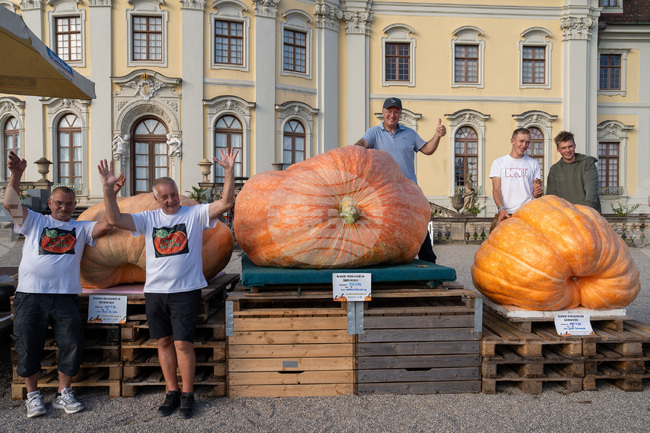 Germany Heaviest Pumpkin