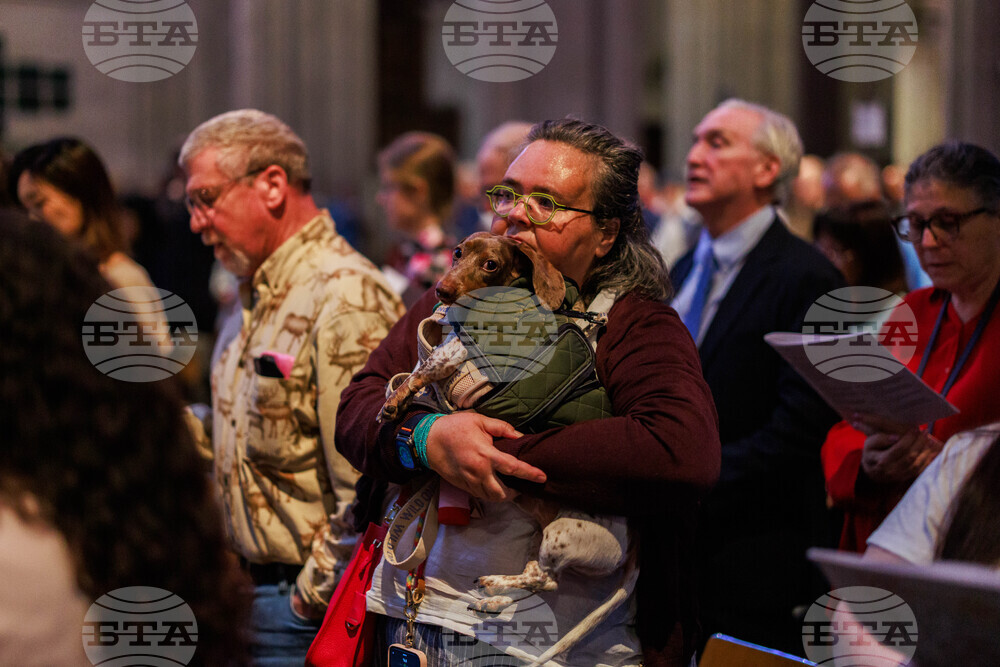 New York Blessing of the Animals