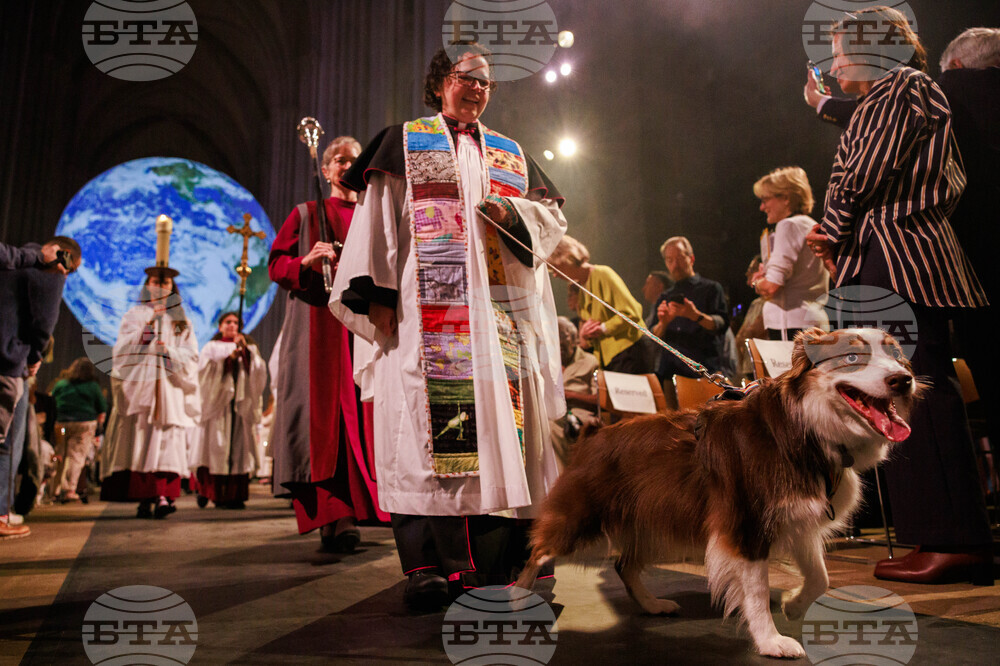 New York Blessing of the Animals