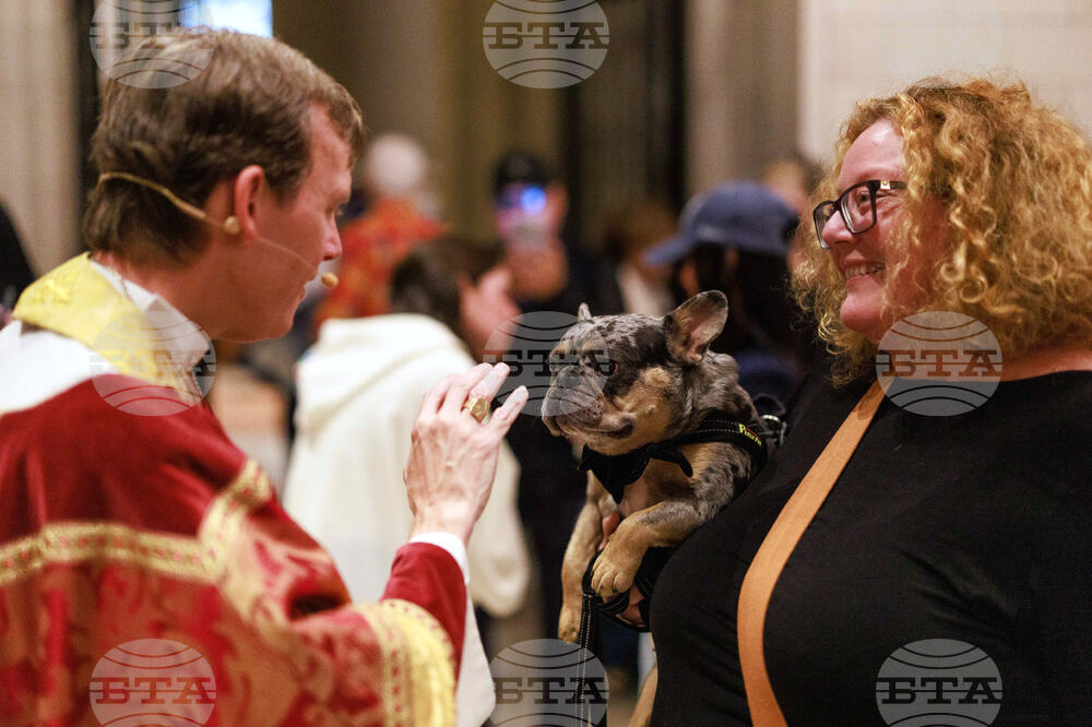 New York Blessing of the Animals