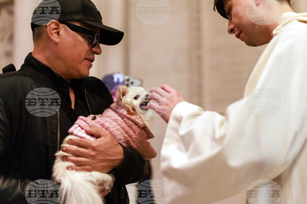 New York Blessing of the Animals