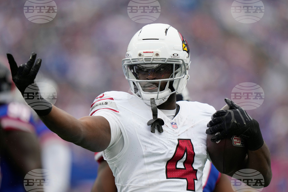 Cardinals Giants Football