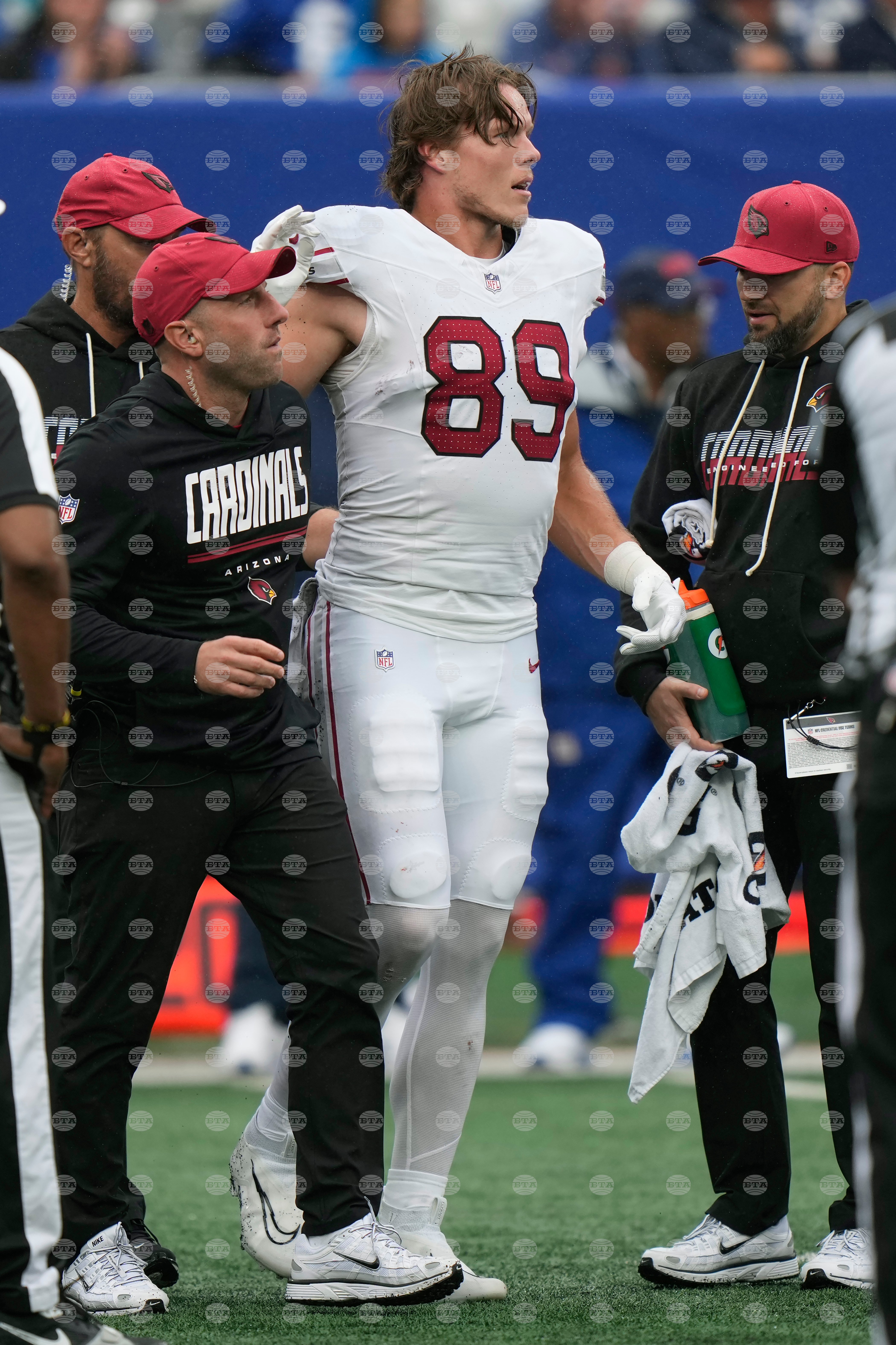Cardinals Giants Football