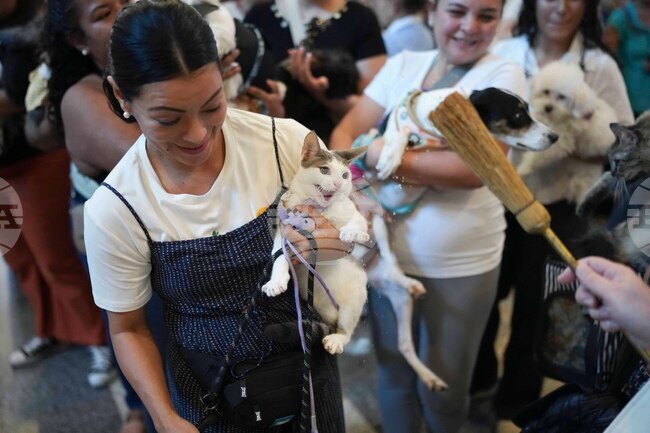 APTOPIX Panama Animal Blessing