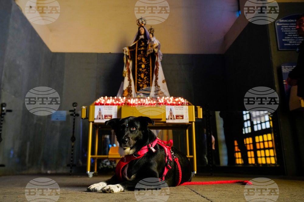Chile Blessing of the Animals