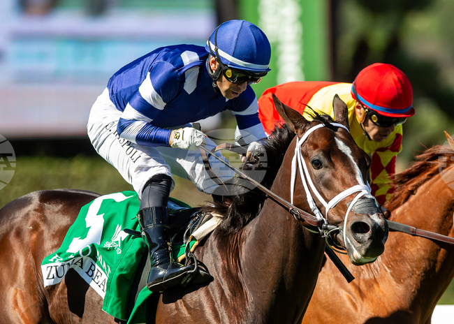 CORRECTION Santa Anita Horse Racing