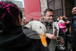 Chile Blessing of the Animals