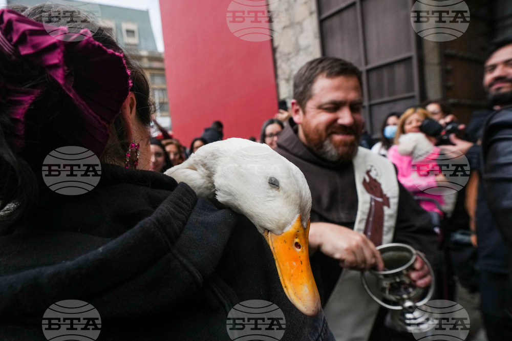Chile Blessing of the Animals