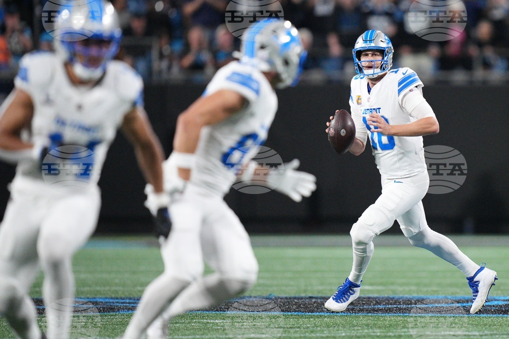 Lions Panthers Football