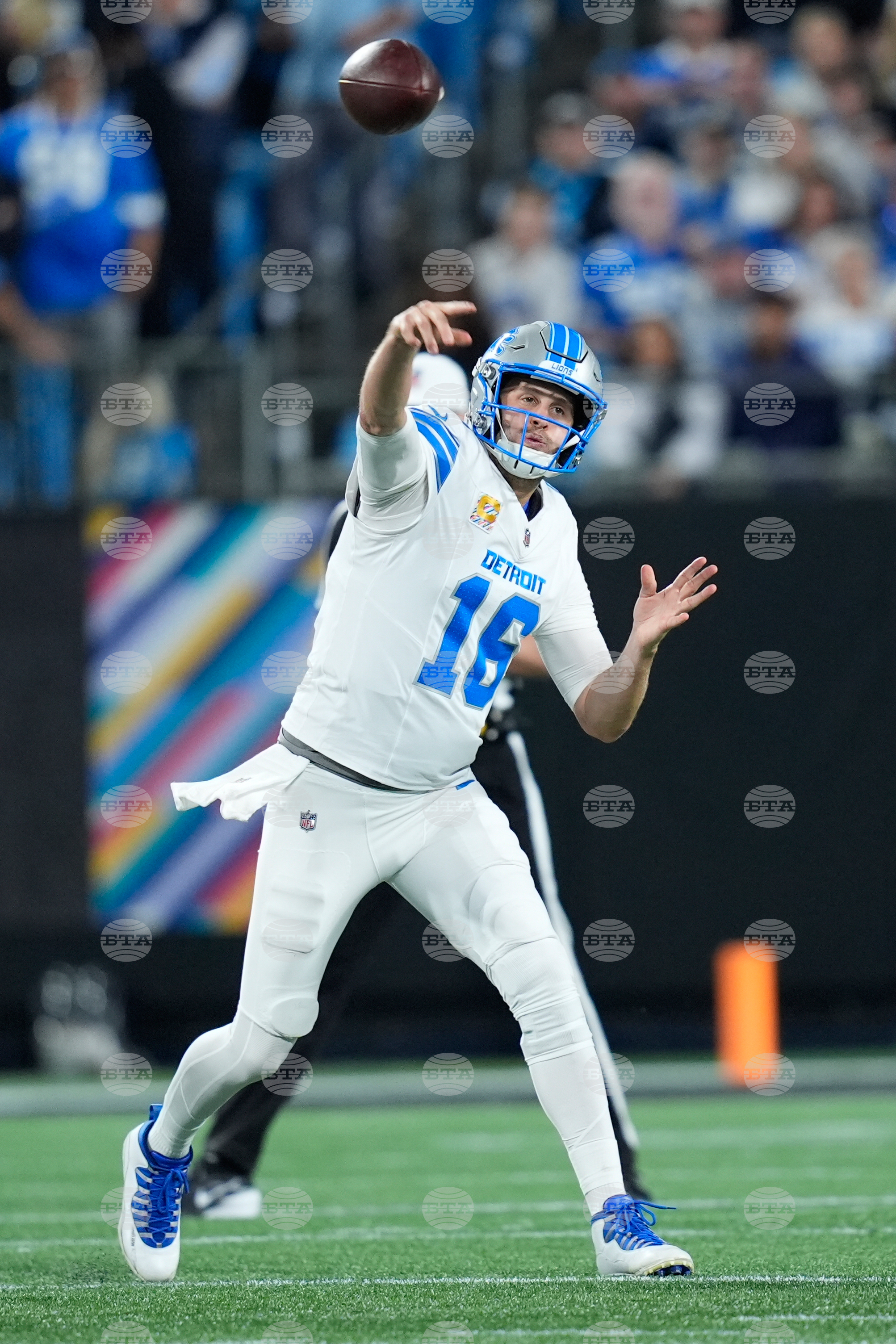 Lions Panthers Football