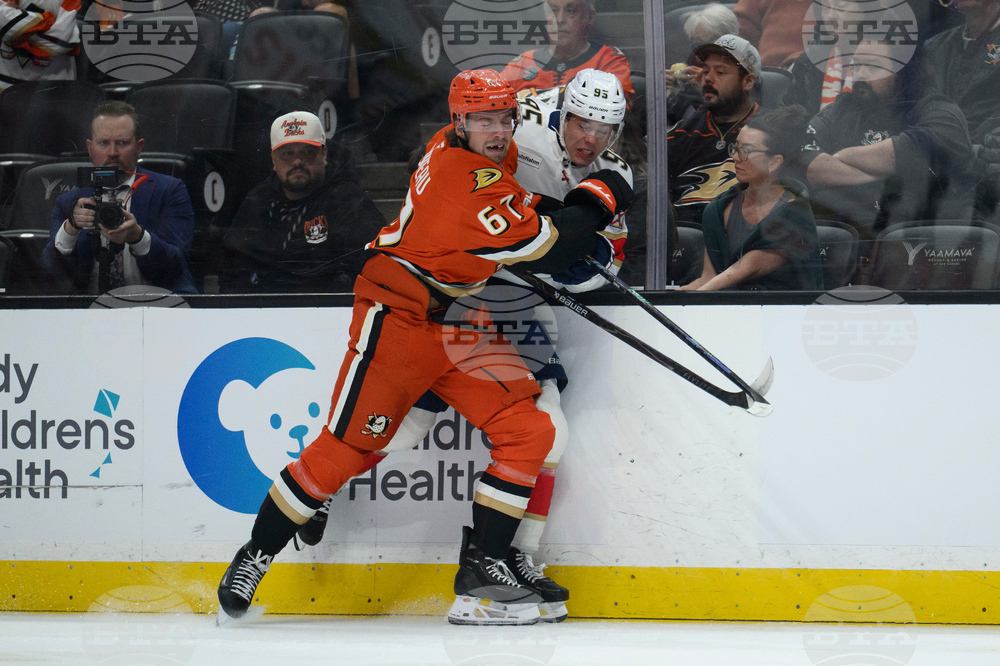 Panthers Ducks Hockey