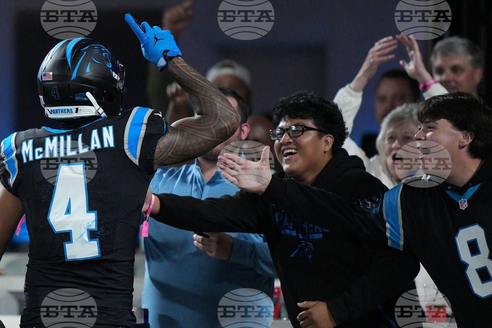 Lions Panthers Football