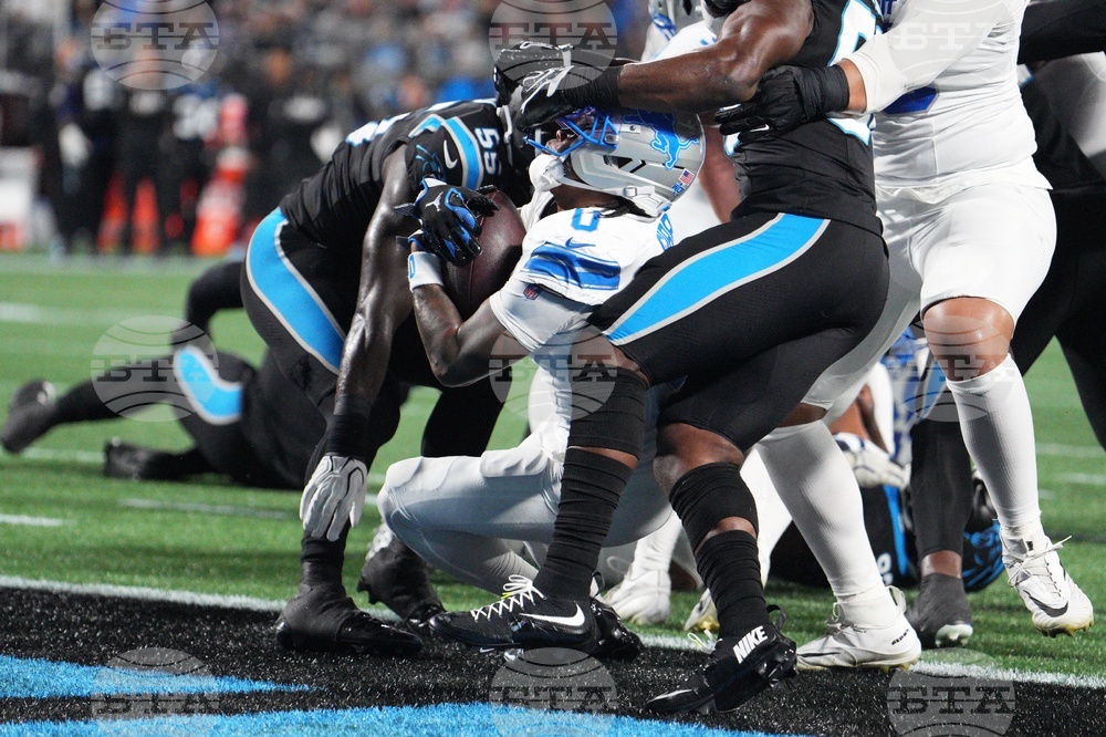 Lions Panthers Football