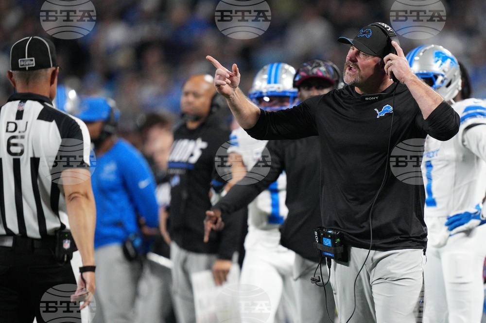 Lions Panthers Football
