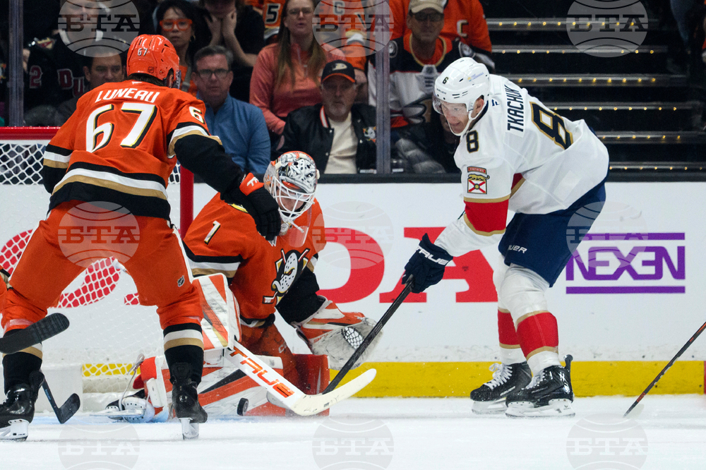 Panthers Ducks Hockey