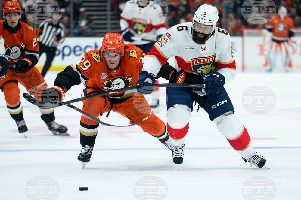 Panthers Ducks Hockey